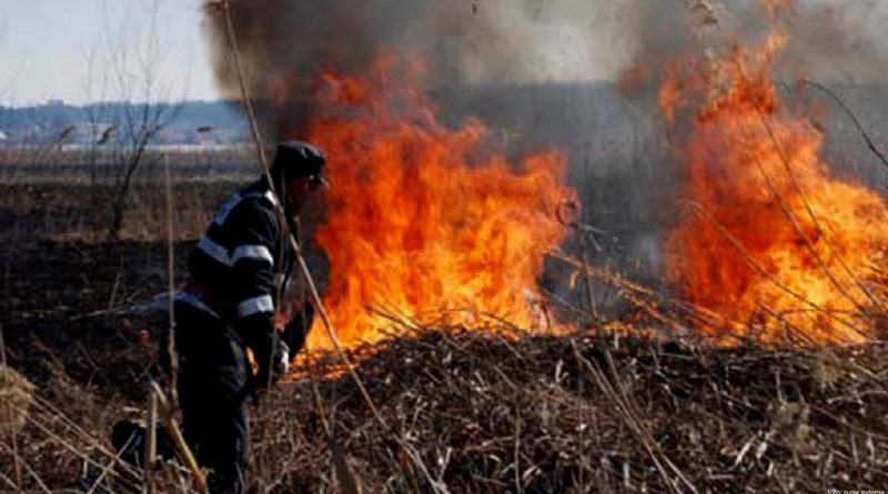 Incendiu de vegetatie uscata