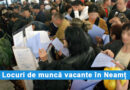 1141 locuri de muncă vacante în Neamț