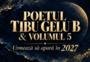 Eu – Lumea – Omul – Tu – ? – Tibu-Gelu B. și misterul celui de-al cincilea volum